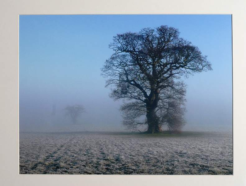 Freezing Fog by Moira Ellis 7475.jpg - Freezing Fog by Moira Ellice